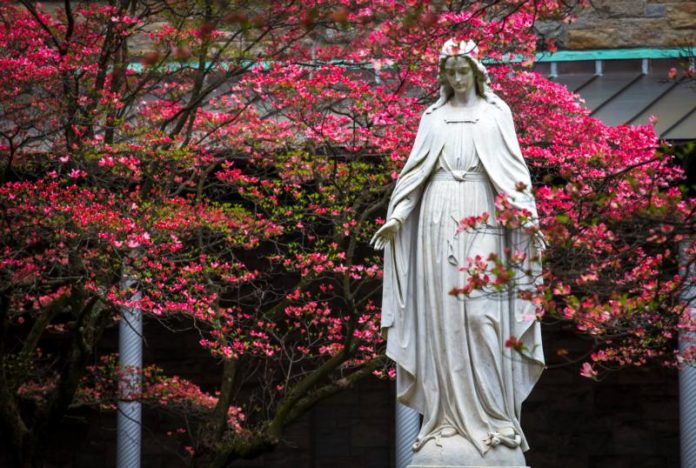 STATUE OF MARY