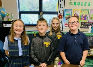 Bishop Mark’s Catholic Schools Week 2026 Message